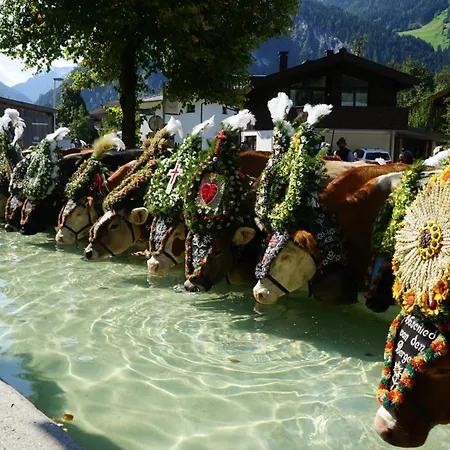 Lejlighed Alma Mayrhofen